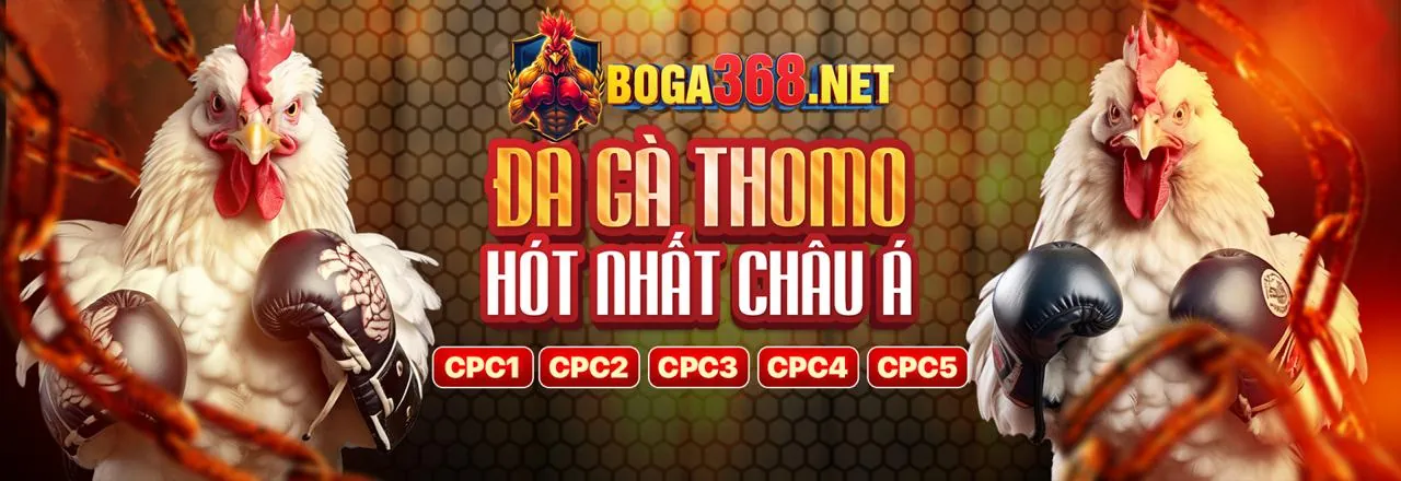 Hướng dẫn tải shbet iOS